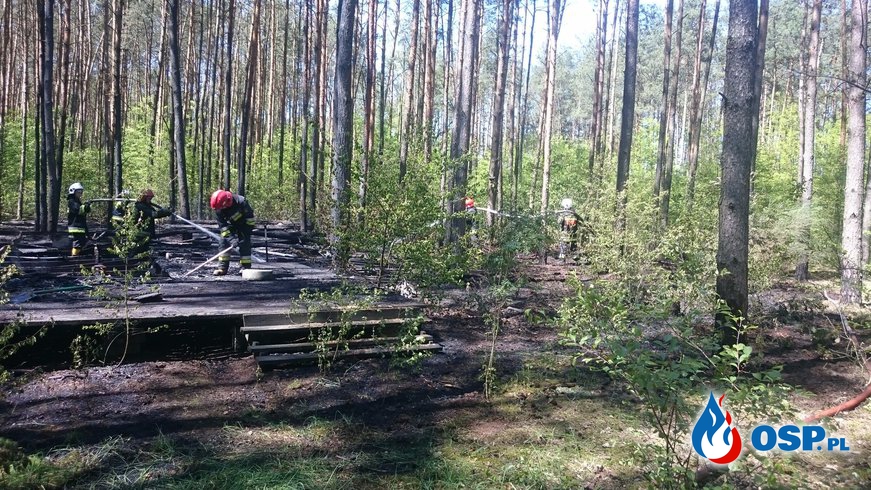 Pożar lasu, spalona przyczepa kempingowa OSP Ochotnicza Straż Pożarna