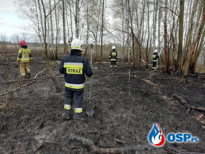 Pożar tataraków w miejscowości Woźniki OSP Ochotnicza Straż Pożarna
