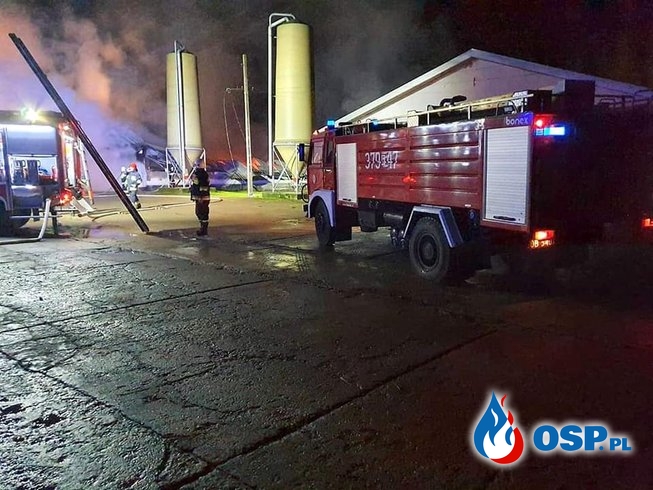 Kurnik zawalił się podczas pożaru. Nocna akcja gaśnicza w Lubuskiem. OSP Ochotnicza Straż Pożarna