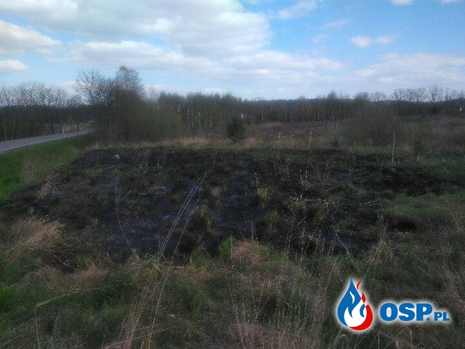 Pozar suchej trawy w Nagladach OSP Ochotnicza Straż Pożarna