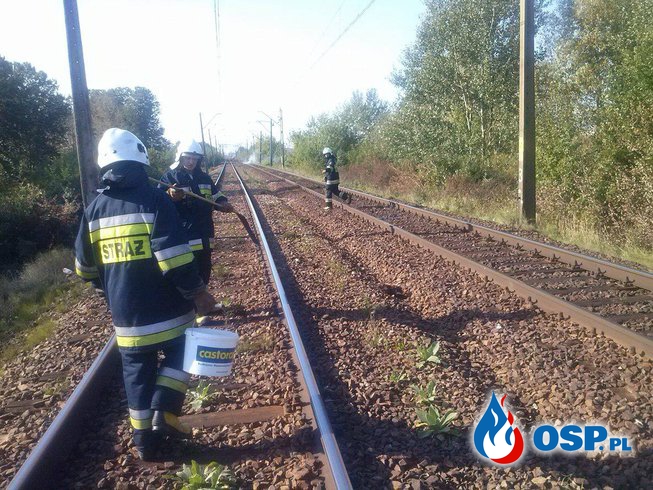 Pożar podkładów kolejowych! OSP Ochotnicza Straż Pożarna