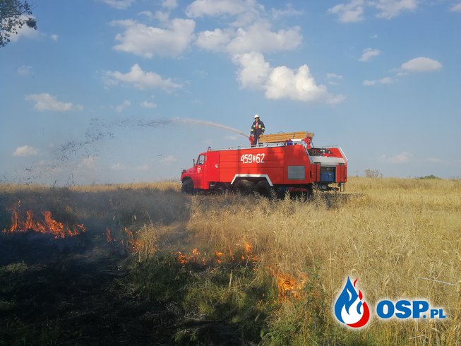 Pożar zboża i trawy OSP Ochotnicza Straż Pożarna