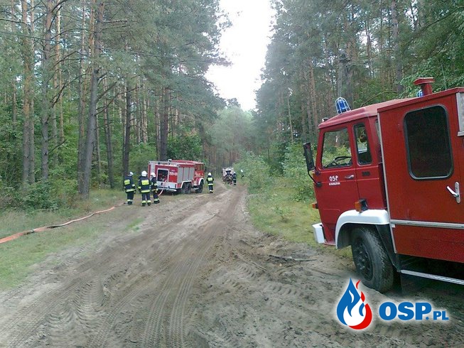Ćwiczenia zgrywające "SOSNA 2016" OSP Ochotnicza Straż Pożarna