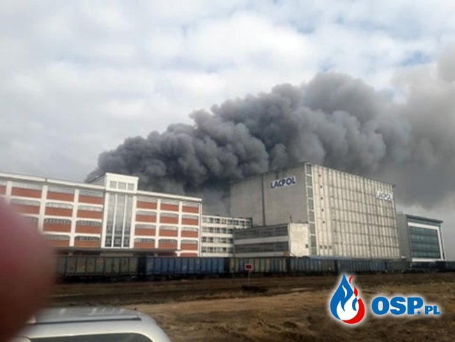 Pożar magazynu zbożowego w Gdyni. Kłęby dymu są widoczne z wielu kilometrów. OSP Ochotnicza Straż Pożarna