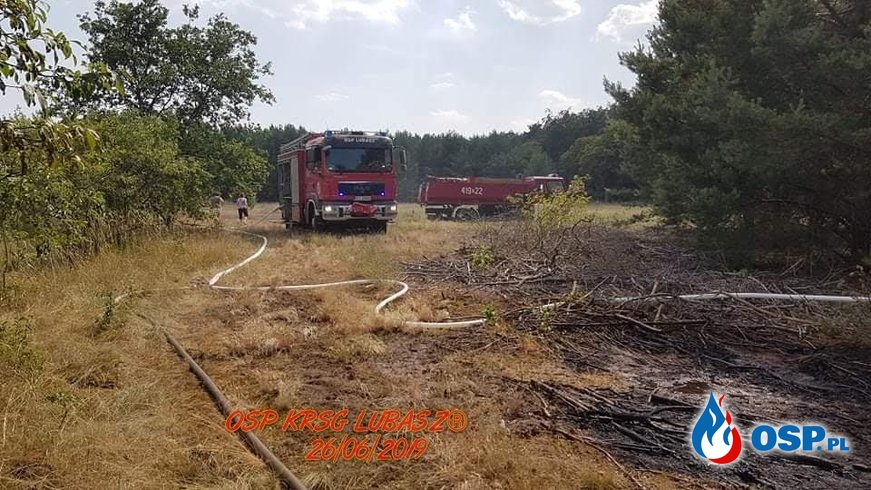 Dwa pożary Lasu w Gminie Lubasz OSP Ochotnicza Straż Pożarna