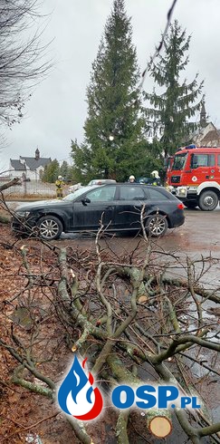 Drzewo spadło na samochód OSP Ochotnicza Straż Pożarna