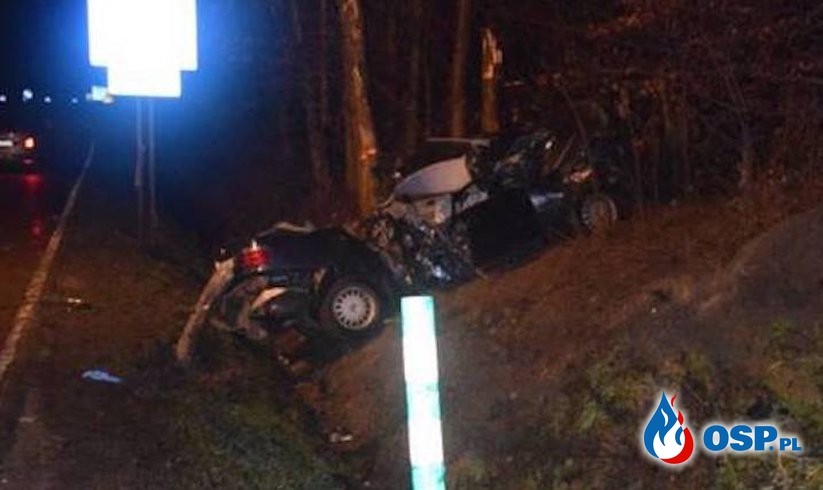 BMW uderzyło w drzewo, dwie osoby zginęły. Tragiczny wypadek pod Tarnowem. OSP Ochotnicza Straż Pożarna