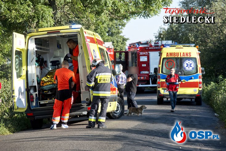 Wypadek śmiertelny w Borkach Siedleckich. Bus zderzył się z osobówką. OSP Ochotnicza Straż Pożarna