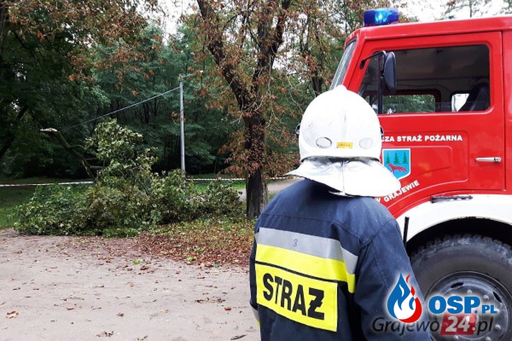 Przewrócone drzewa na skutek silnego wiatru OSP Ochotnicza Straż Pożarna