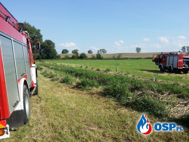Pożar trzcin i suchej trawy w Ligocie Bialskiej OSP Ochotnicza Straż Pożarna