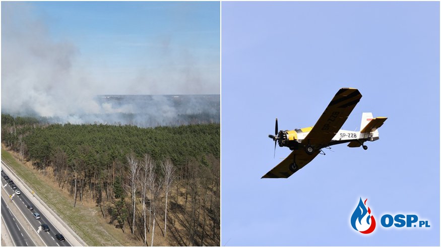 Duży pożar lasu pod Warszawą. Strażaków wspiera samolot gaśniczy. OSP Ochotnicza Straż Pożarna