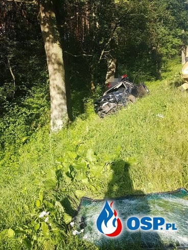 Audi rozbiło się na drzewie w Kamieńczyku. Trzej młodzi mężczyźni w szpitalu. OSP Ochotnicza Straż Pożarna