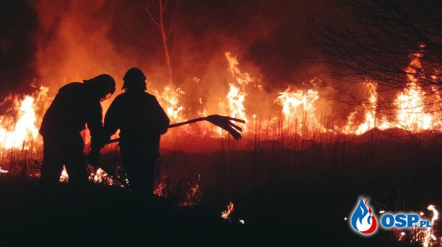 Kolejny duży pożar suchych traw w Bóbrce OSP Ochotnicza Straż Pożarna