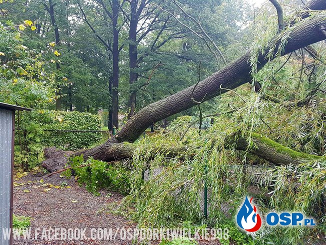 Drzewo spadło na budynek OSP Ochotnicza Straż Pożarna
