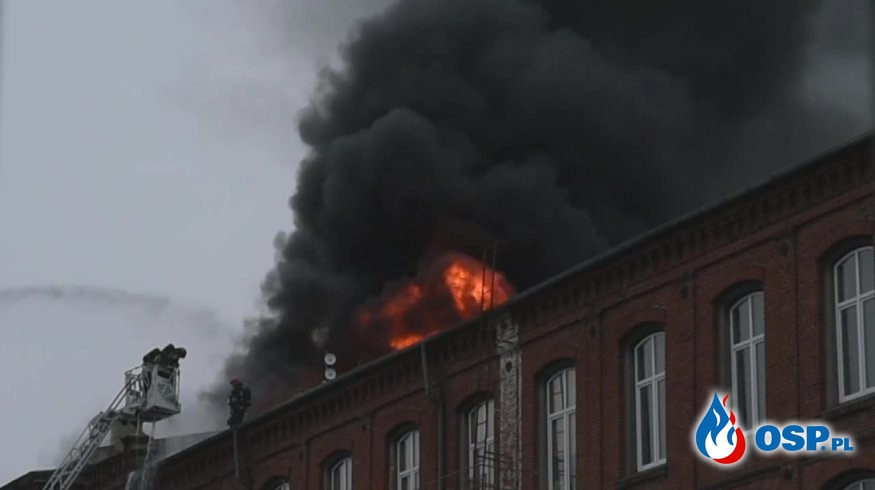 Pożar budynku w Łodzi. Ewakuowano 40 osób. OSP Ochotnicza Straż Pożarna