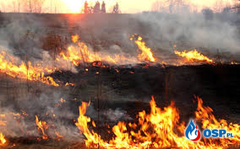 Wypalanie traw zabija ! OSP Ochotnicza Straż Pożarna