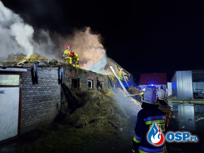 Spłonął budynek gospodarczy z sianem. Nocny pożar w Krosinie. OSP Ochotnicza Straż Pożarna