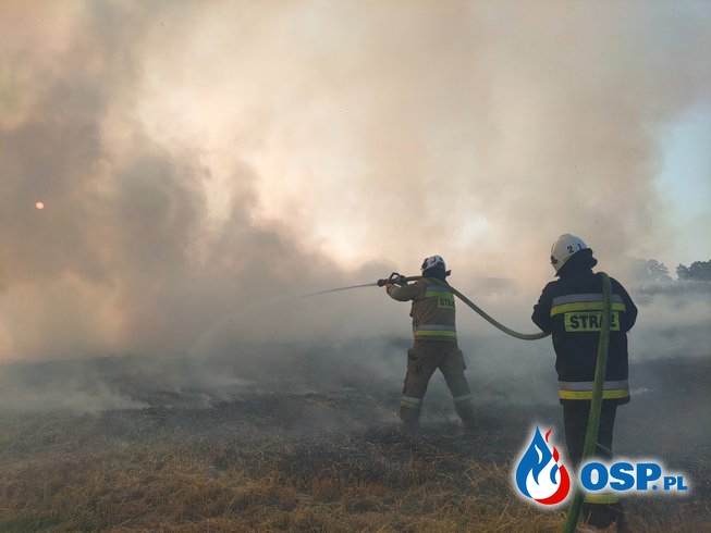 150/2021 Pożar pola w Młynarach OSP Ochotnicza Straż Pożarna