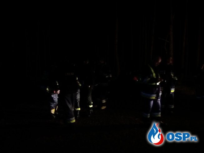 Szczęśliwy  finał  poszukiwań w lesie OSP Ochotnicza Straż Pożarna