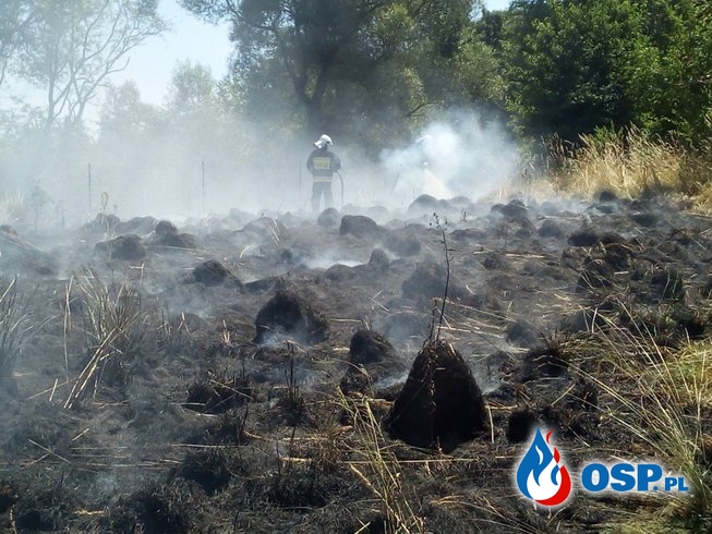 Dwa niebezpieczne pożary traw i nieużytków - 1 lipca 2019r. OSP Ochotnicza Straż Pożarna