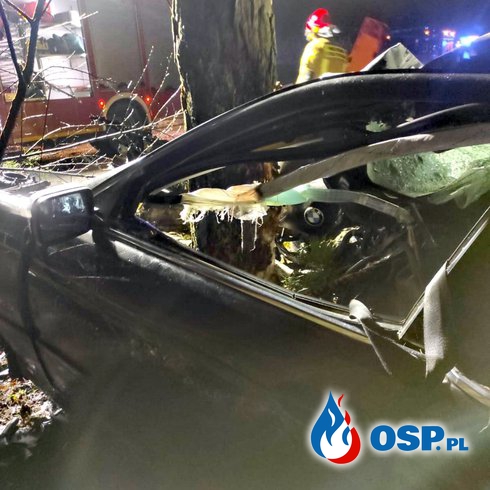 Pijany 16-latek rozbił BMW na drzewie. Dwóch nastolatków w szpitalu. OSP Ochotnicza Straż Pożarna