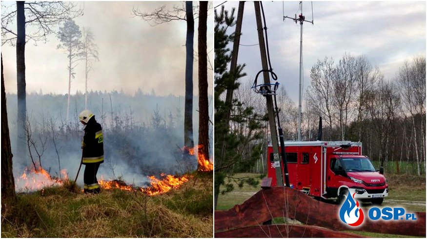 35 hektarów lasu spłonęło w nadleśnictwie Włodawa. Pożar gaszono z ziemi i powietrza. OSP Ochotnicza Straż Pożarna