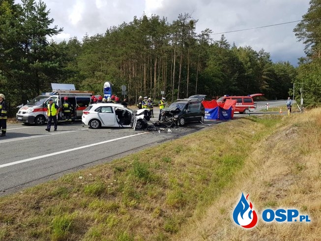 Czołowe zderzenie podczas wyprzedzania pod Opolem. Zginęła jedna osoba, 5 jest rannych. OSP Ochotnicza Straż Pożarna