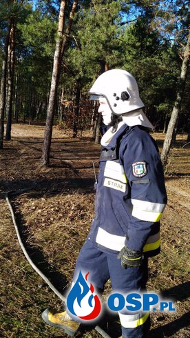 Niespodziewany pożar traw w przeddzień wigilii! OSP Ochotnicza Straż Pożarna