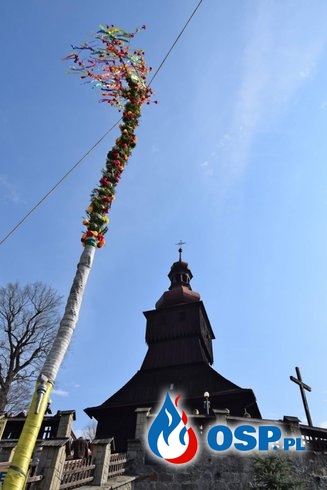 Strażacka palma to tradycja w Łodygowicach. Tegoroczna ma aż 13 metrów! OSP Ochotnicza Straż Pożarna