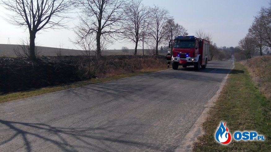 Pożar trawy w Małżewku OSP Ochotnicza Straż Pożarna