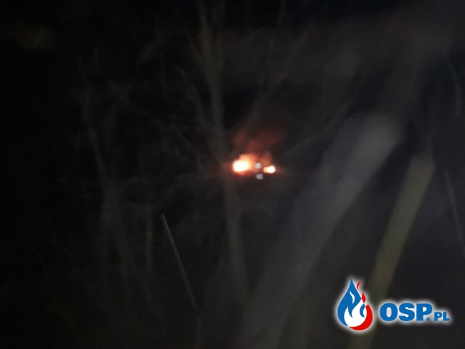 Pożar gałęzi - ul. Krakowska w Kwaczale OSP Ochotnicza Straż Pożarna