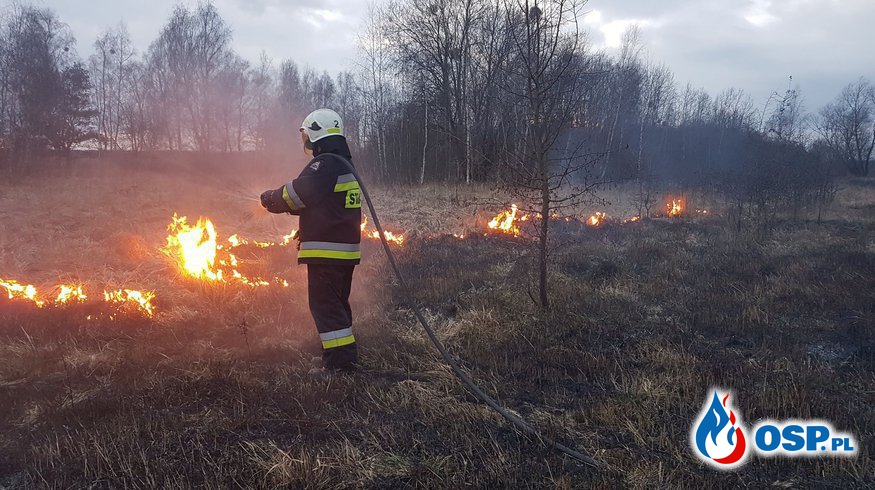 Tragiczny finał pożaru trawy. Nie żyje 62-latek, który próbował ugasić ogień. OSP Ochotnicza Straż Pożarna