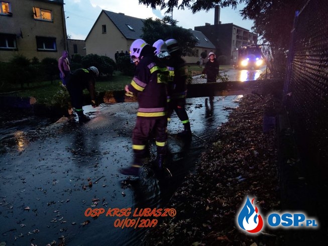 Pracowity wieczór po wichurze OSP Ochotnicza Straż Pożarna