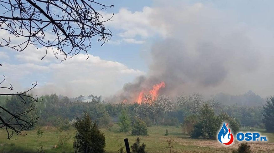 200 strażaków, 55 zastępów i 3 samoloty gaśnicze w akcji. Spłonęło prawie 100 hektarów lasu. OSP Ochotnicza Straż Pożarna