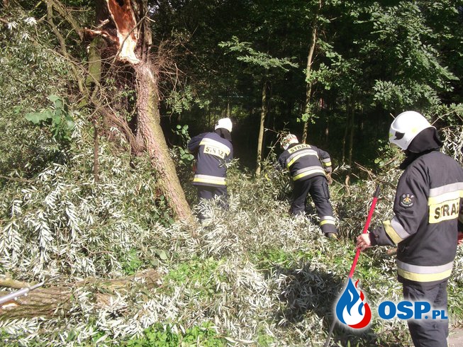 Powalone drzewo na linię niskiego napięcia OSP Ochotnicza Straż Pożarna