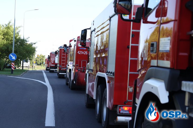 140 polskich strażaków jedzie pomagać gasić pożary w Szwecji! OSP Ochotnicza Straż Pożarna