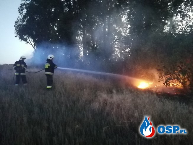 Pożar niedaleko Przyjezierza OSP Ochotnicza Straż Pożarna