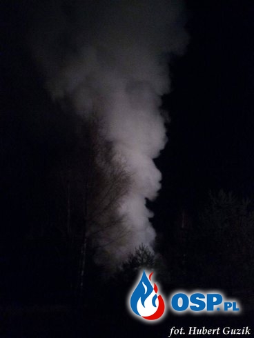 Pożar domku letniskowego w Ostrowie. OSP Ochotnicza Straż Pożarna