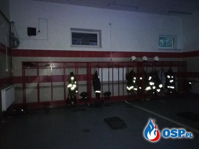 Kolejny pożar traw i usuwanie skutków silnego wiatru - 1 lipca 2019r. OSP Ochotnicza Straż Pożarna
