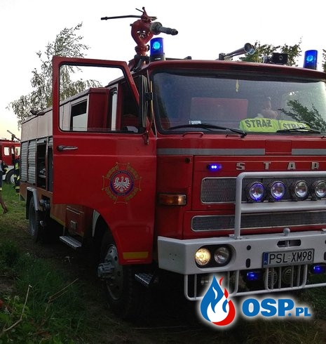 Pożar lasu - Procyń OSP Ochotnicza Straż Pożarna