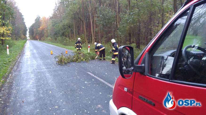 Powalone drzewa blokowały przejazd na drogach. OSP Ochotnicza Straż Pożarna