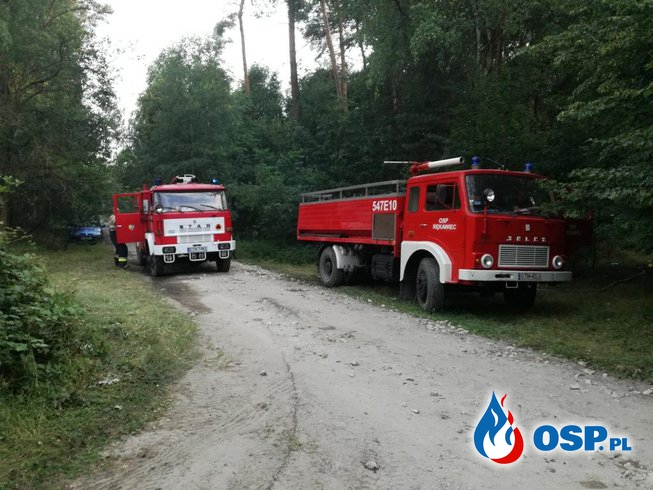 Pożar 8 ha lasu w powiecie tomaszowskim. OSP Ochotnicza Straż Pożarna