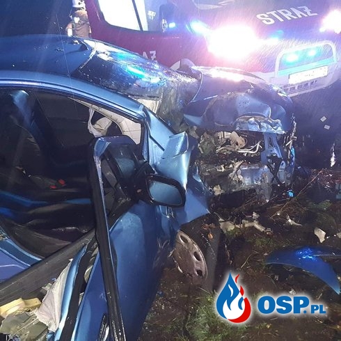 Auto uderzyło w drzewo, zginęła pasażerka. Tragiczny wypadek pod Chełmnem. OSP Ochotnicza Straż Pożarna