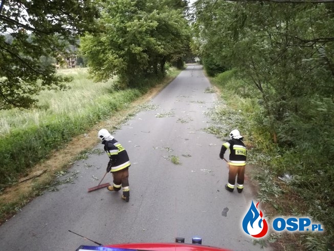 Kolejny pożar traw i usuwanie skutków silnego wiatru - 1 lipca 2019r. OSP Ochotnicza Straż Pożarna