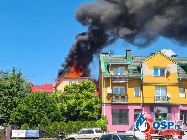 Pożar budynku mieszkalnego w centrum Zgierza. W akcji 12 zastępów strażaków. OSP Ochotnicza Straż Pożarna