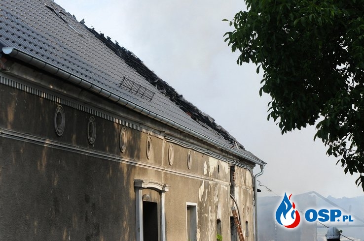 20 krów spłonęło w pożarze budynków gospodarczych pod Opolem OSP Ochotnicza Straż Pożarna