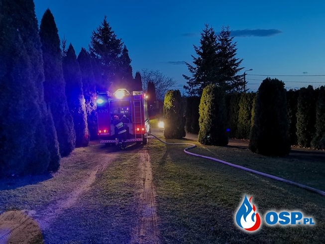 Pożar poszycia leśnego - ul. Parkowa w Babicach OSP Ochotnicza Straż Pożarna