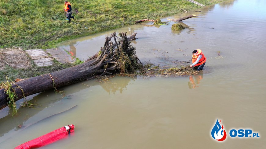 Połamane drzewo zagrażało zerwaniem 450-tonowej barki w Opolu. OSP Ochotnicza Straż Pożarna