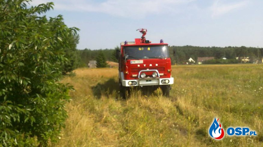 Pożar lasu Piłka OSP Ochotnicza Straż Pożarna