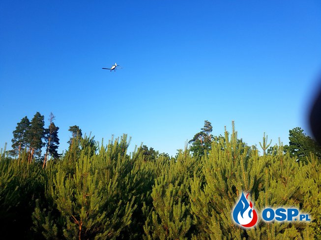 Pożar poszycia Leśnego Korzybie 28-06-2018 OSP Ochotnicza Straż Pożarna